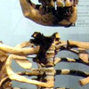 Kariandusi Prehistoric Site