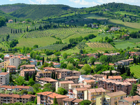 All Tuscany In One Day Wine Tour