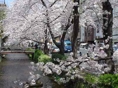 Takase River Japan Tourist Information