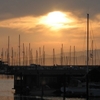 Berkeley Marina Berkeley Marina