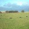 The Sanctuary