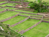 Tipón Tipón