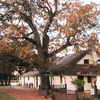 Tranby House Tranby House