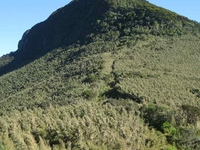 Mount Kinangop Mount Kinangop