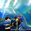 Underwater World Pattaya Underwater World Pattaya