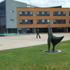 University of Surrey