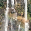 Udzungwa Mountains National Park