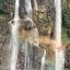 Udzungwa Mountains National Park Udzungwa Mountains National Park