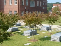 University Of Georgia University Of Georgia