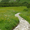 Valley of Flowers National Park