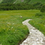 Valley of Flowers National Park