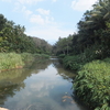Vithura