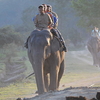 Van Vihar National Park Elephant Rides Van Vihar National Park Elephant Rides