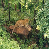 Van Vihar National Park Van Vihar National Park
