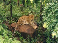 Van Vihar National Park Van Vihar National Park