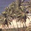 Velneshwar Beach Velneshwar Beach