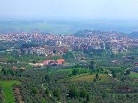 Venosa Venosa