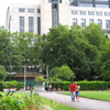 Victoria Embankment Gardens
