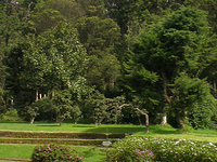 Victoria Park Victoria Park