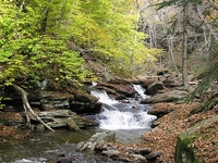 Ricketts Glen State Park Ricketts Glen State Park