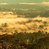 Danum Valley Conservation Area