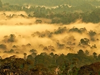 Danum Valley Conservation Area