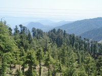Mahasu Peak  