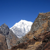 Langtang Lirung