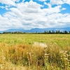 Mendoza Province
