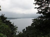 Arthur Lake