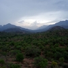Chinnar Wildlife Sanctuary Chinnar Wildlife Sanctuary