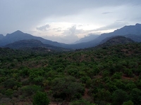 Chinnar Wildlife Sanctuary Chinnar Wildlife Sanctuary