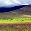 Ngorongoro