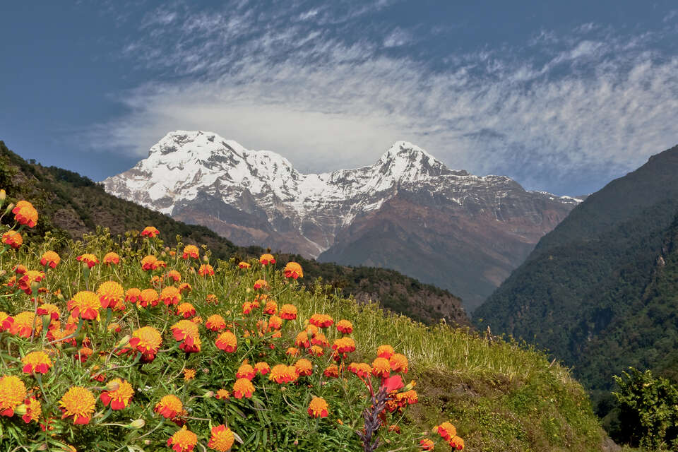 View Of The Annapurna South
