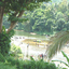 Kitulgala