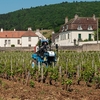 Chateau de Gevrey-Chambertin Chateau de Gevrey-Chambertin