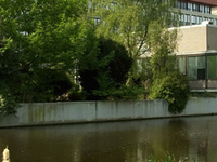 Vrije Universiteit Vrije Universiteit