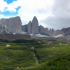 Magellanic Subpolar Forests Magellanic Subpolar Forests