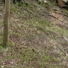 Vespasian's Camp