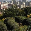 Pretoria