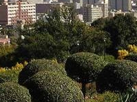 Pretoria