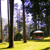 Dhanaulti