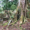 Vilcabamba