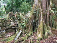 Vilcabamba Vilcabamba
