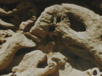 Dashkasan Dashkasan