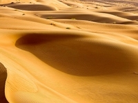 Wahiba Sands Wahiba Sands