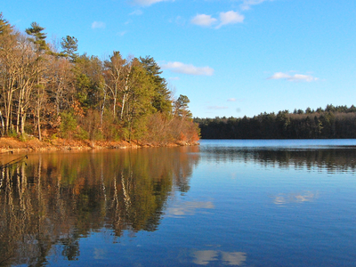 Walden Pond, Concord, United States Tourist Information