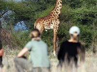 13 Day Southern Circuit Safari