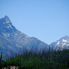 Walton Mountain