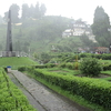 Batasia Loop